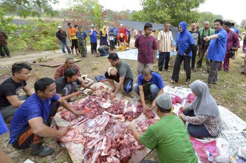 PTJ02_24092015_KORBAN