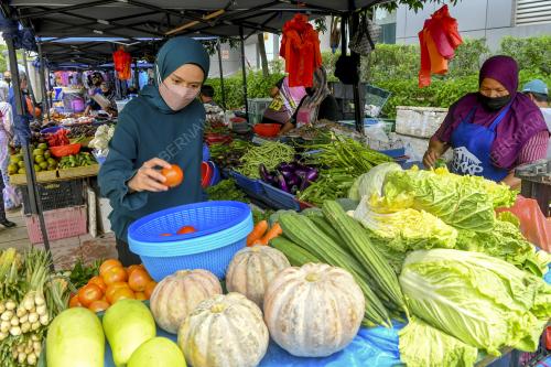SAYUR NAIK HARGA