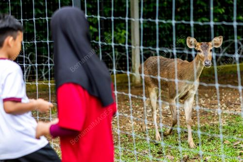 CUTI KRISMAS