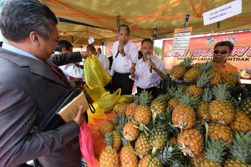 PTJ02_27022019_JUALAN_BN201902251592