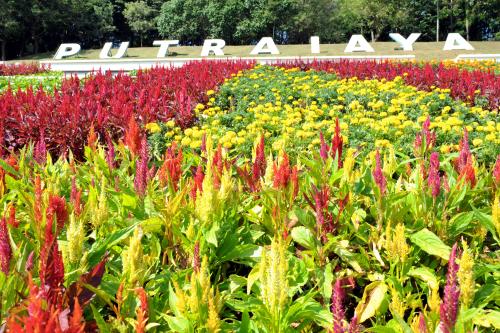 PTJ02_27052015_FLORIA