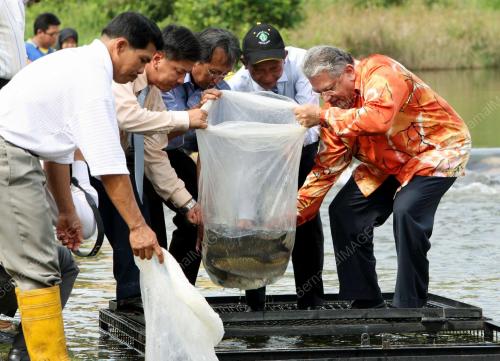 TENGKU ADNAN TENGKU MANSOR