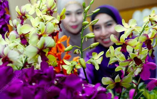 PTJ02_30052013_FLORIA