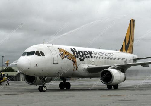 TIGER AIRWAYS