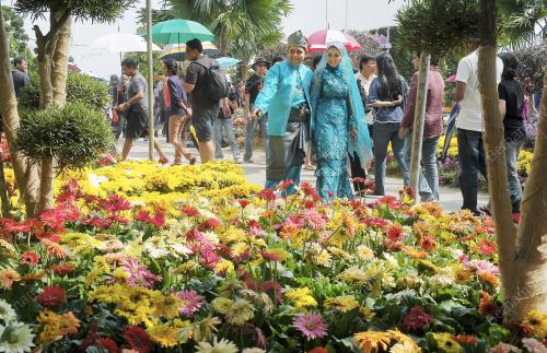 PTJ03_01072012_FLORIA