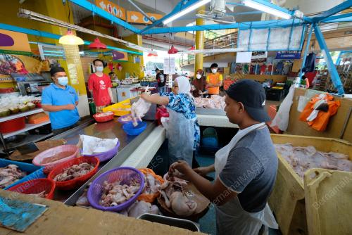 HARGA AYAM