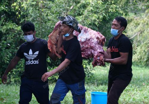 KORBAN PERDANA IKHLAS. COM