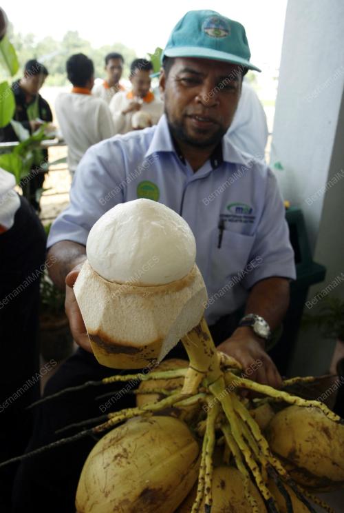 HARI TEKNOLOGI TANAMAN MARDI