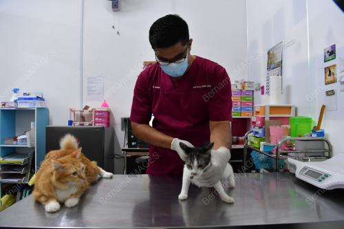 KITTY'S FOODBANK