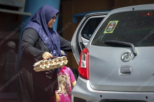 KERAJAAN IMPORT BEKALAN TELUR