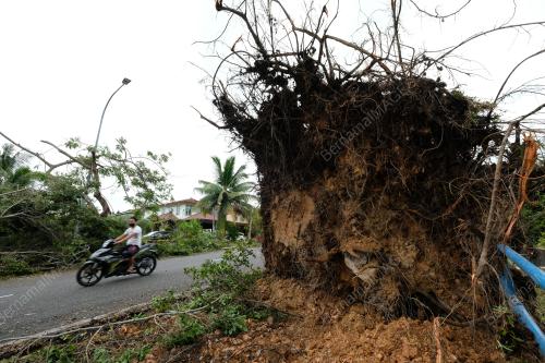 TINJAUAN KESAN RIBUT