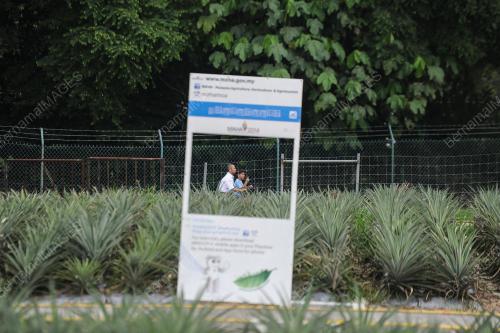 PTJ03_08122016_MAHA