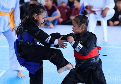 HARI SUKAN NEGARA 2022