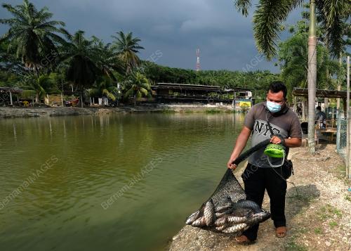 TINJAUAN PUSAT REKREASI MEMANCING
