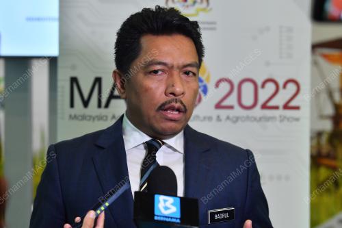 DATUK BADRUL HISHAM MOHD