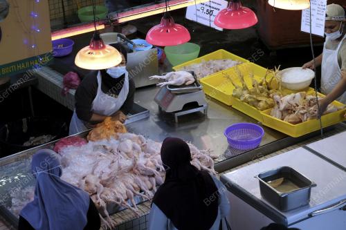 HARGA AYAM NAIK MENDADAK