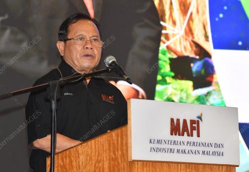 DATUK SERI AHMAD HAMZAH