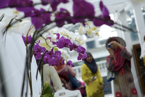 PTJ03_20062014_FLORIA_2014