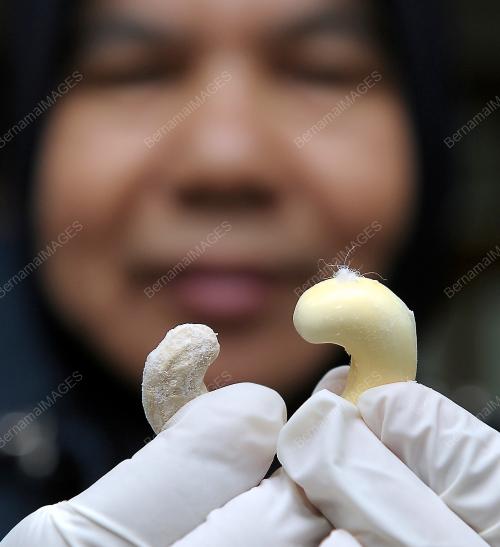 PTJ03_21042012_DADAH_GAJUS