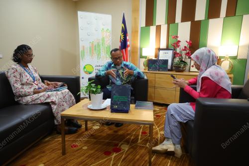 MANSOR MOHAMAD