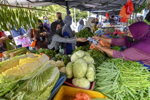 SAYUR NAIK HARGA