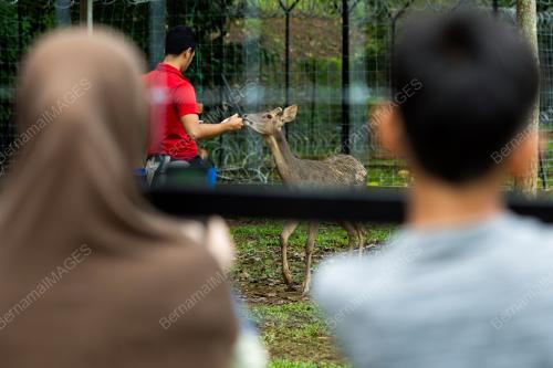 CUTI KRISMAS