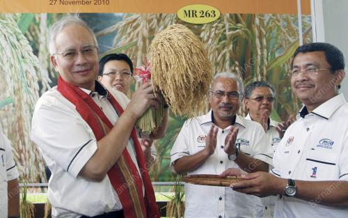 MOHD NAJIB TUN ABDUL RAZAK