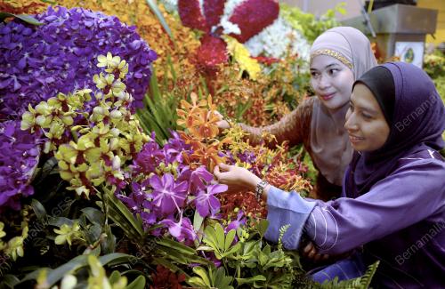 PTJ03_30052013_FLORIA