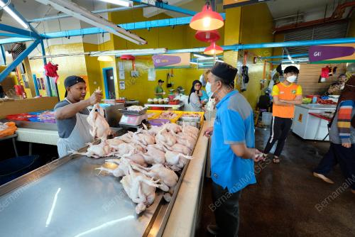 HARGA AYAM