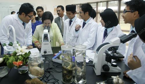 ROSMAH MANSOR