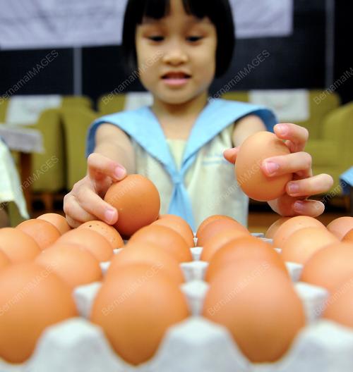 HARI TELUR SEDUNIA 2011