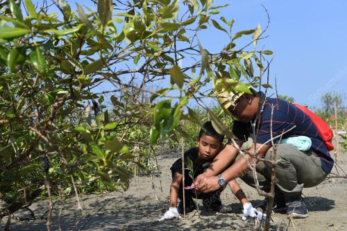 PTJ04_18032018_POKOK_BN201803172220