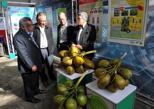 PTJ04_20052017_KELAPA