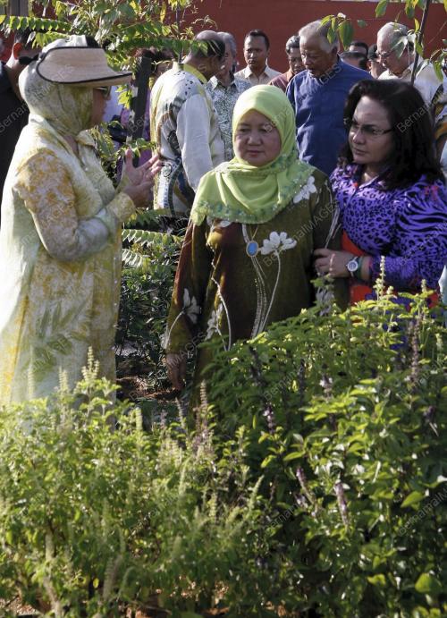 ROSMAH MANSOR
