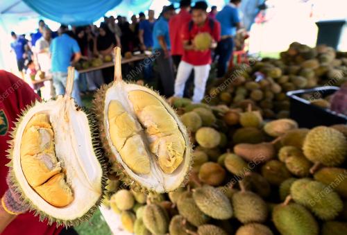 PTJ04_21072018_DURIAN