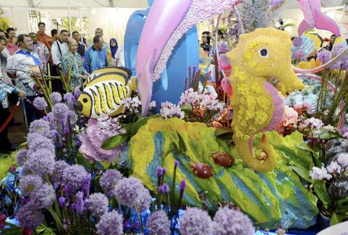 PTJ04_22062013_FLORIA_2013