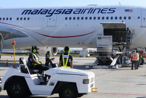 TINJAUAN PERSIAPAN KETIBAAN VAKSIN