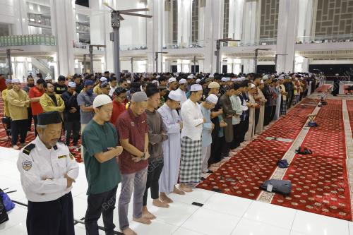 MAJLIS QIAMULLAIL