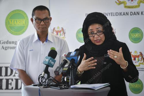 DATUK HASLINA ABDUL HAMID