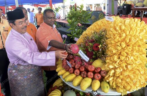 PTJ05_06122013_MAKAN_BUAH