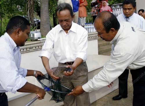 TAN SRI SAMSUDIN OTHMAN