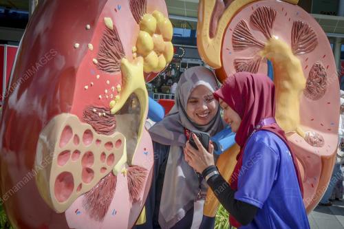 WORLD KIDNEY DAY 2023