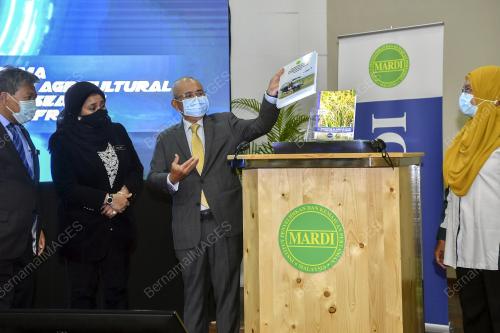 DATUK SERI DR RONALD KIANDEE