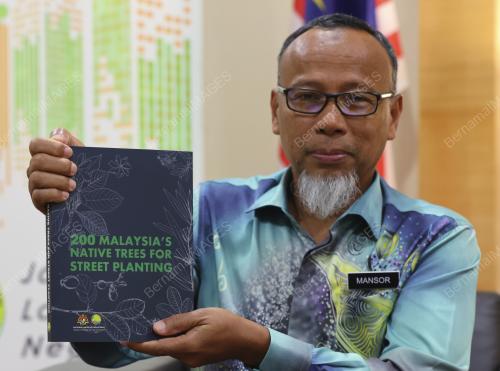 MANSOR MOHAMAD