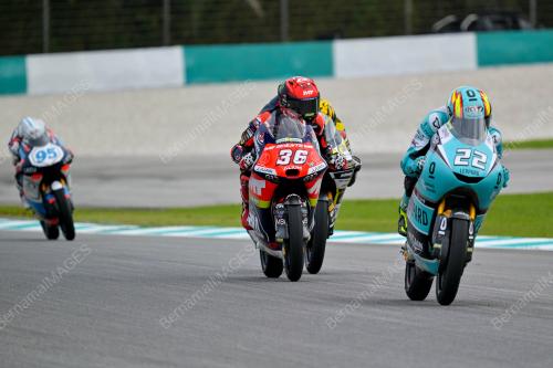 MOTO3
