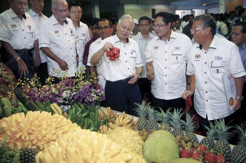 MOHD NAJIB TUN ABDUL RAZAK