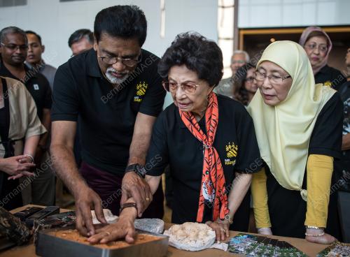 PTJ05_28072019_HARIMAU_BN201907266315