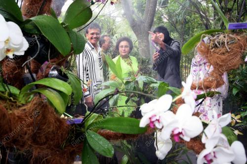 ROSMAH MANSOR