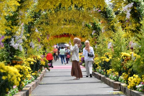 FESTIVAL BUNGA & TAMAN FLORIA DIRAJA PUTRAJAYA 2022
