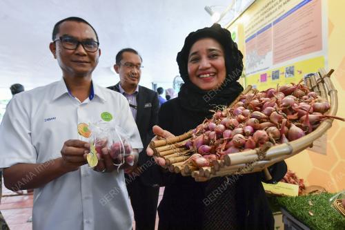 DATUK HASLINA ABDUL HAMID